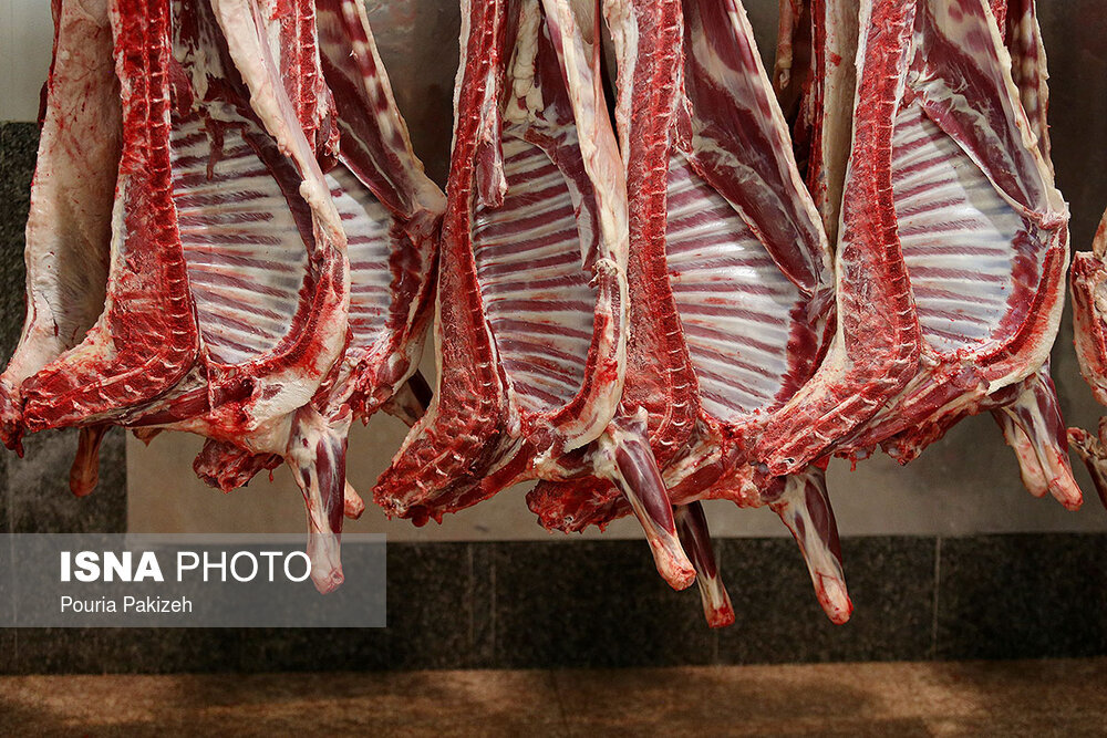 عرضه ۴۰ هزار تن گوشت قرمز در شهریور ماه امسال
